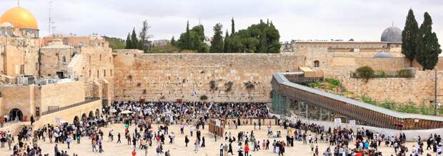 ОН всё знает!..