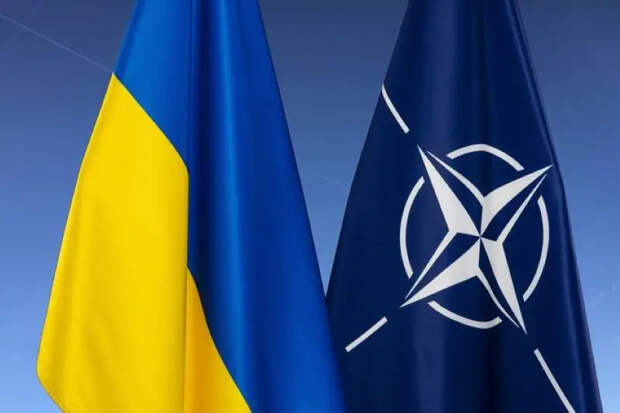 Кандидат на пост канцлера ФРГ: находясь в состоянии войны, Украина не сможет вступить в НАТО
