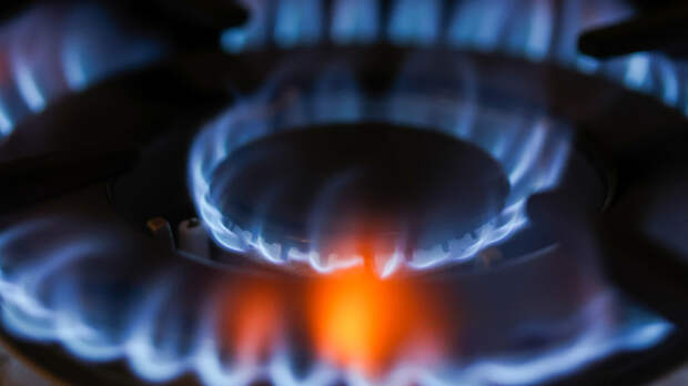 В ГД раскрыли, можно ли отказаться от газа в доме и перейти на электричество