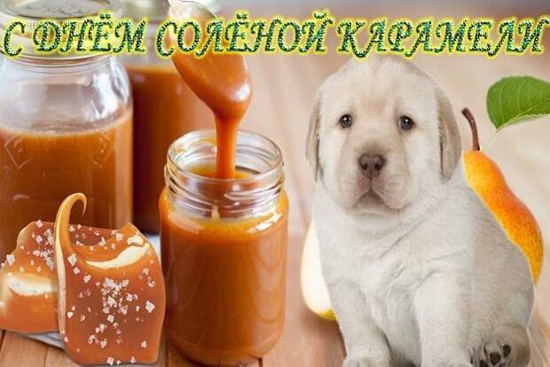Дурацкие открытки в мессенджерах