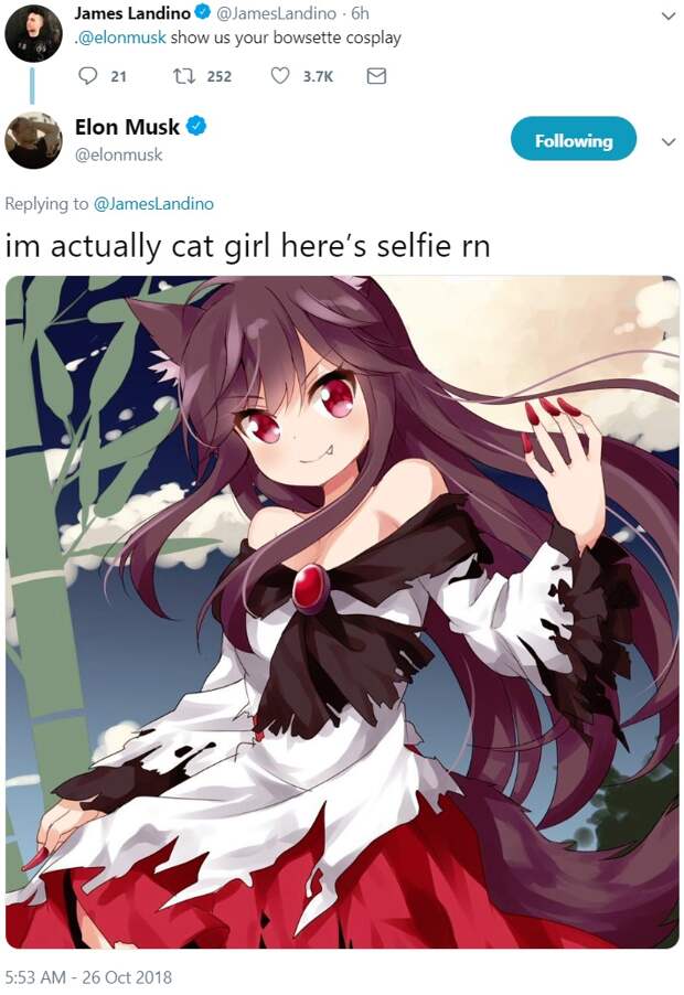 Маск попросил мемы Маск попросил мемы