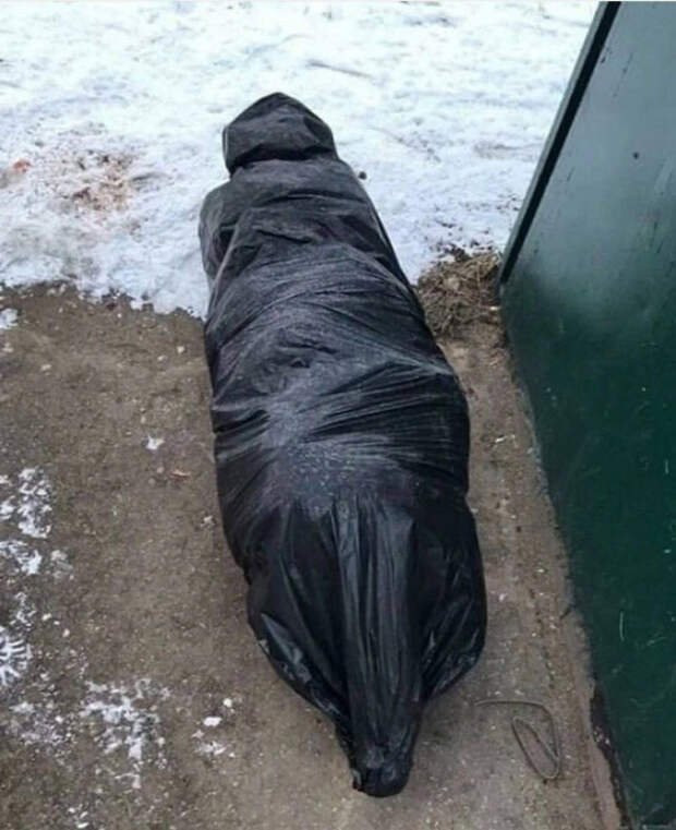 Не выкидывайте, пожалуйста, так ёлки! Сердце после праздников и так слабое...