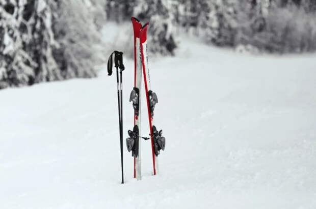 IBU дисквалифицировал немцев после победы на этапе Кубка мира