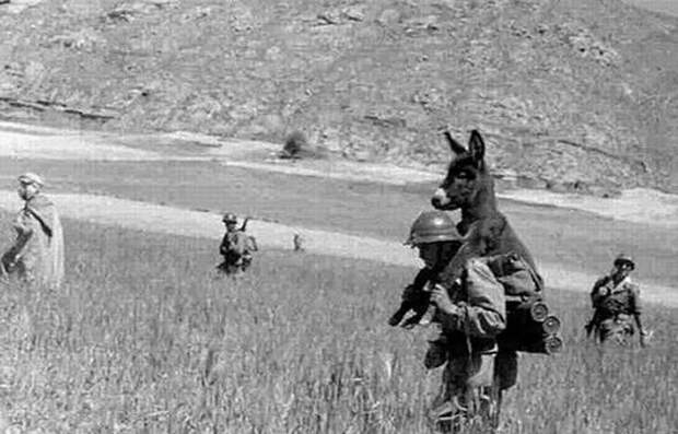 Немного истории в фотографиях.