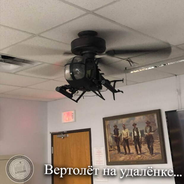 На удаленке