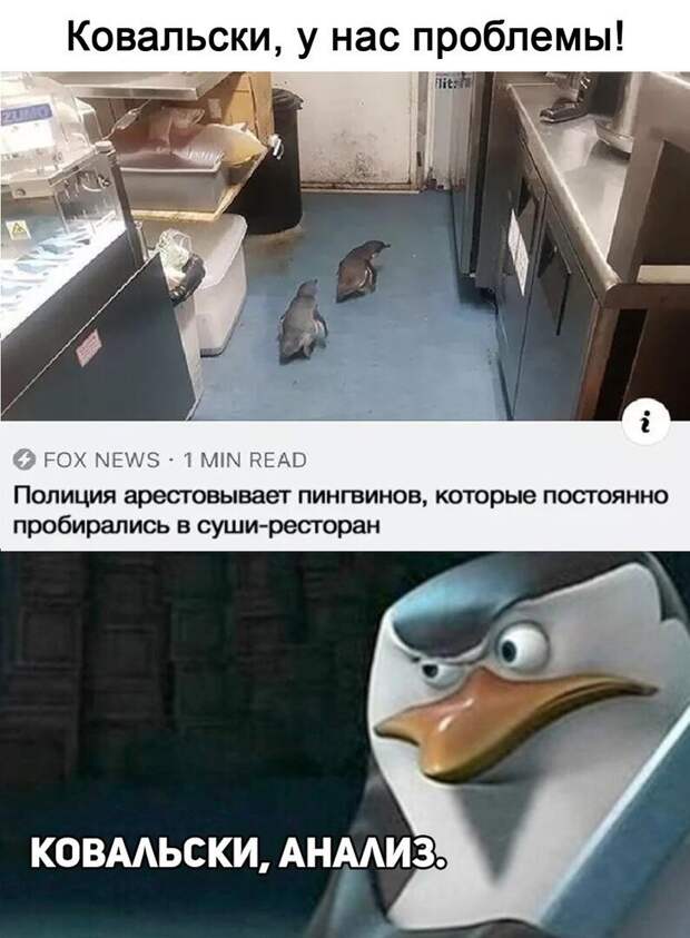 Комментарии и картинки из соцсетей