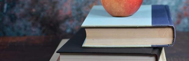 Школы без лицензии работали в Алматы и других регионах Казахстана