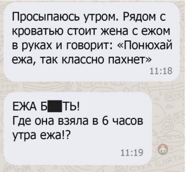 Баянисто-небаянистый юмор