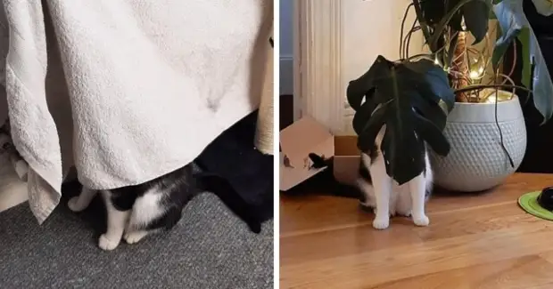?
