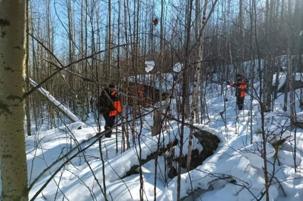 Спасатель Киселев оценил расстояние, которое Усольцевы могли пройти в тайге
