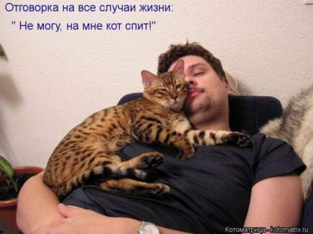 Сборник весёлых котоматриц (35 шт)
