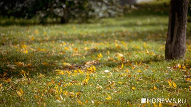 Мэрия утвердила список парков и скверов, претендующих на благоустройство за федеральные деньги