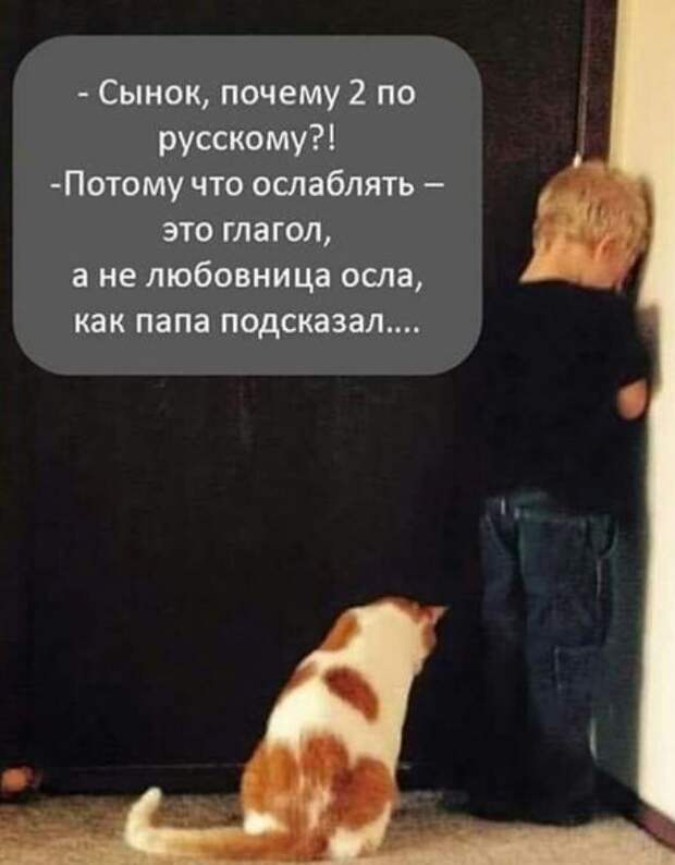 картинки прикольные смешные (3)