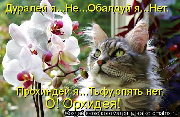 3802001_1_23 (500x325, 45Kb)