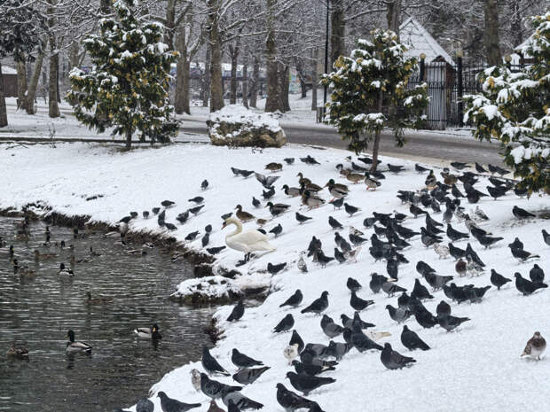 Погода 16 января: ночью до -8