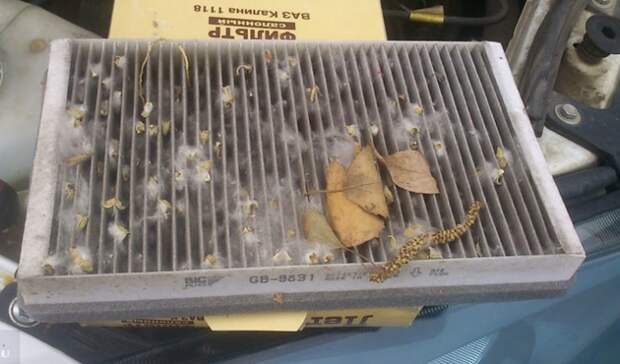 Пыль, пух, листья и сухие насекомые забивают фильтр и существенно ухудшают работу автомобиля. | Фото: carfrance.ru.