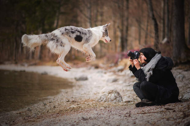 Душевные портреты собак, исследующих разнообразие и красоту нашего мира