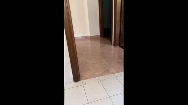 Video: Клип @donetskdnr_vk