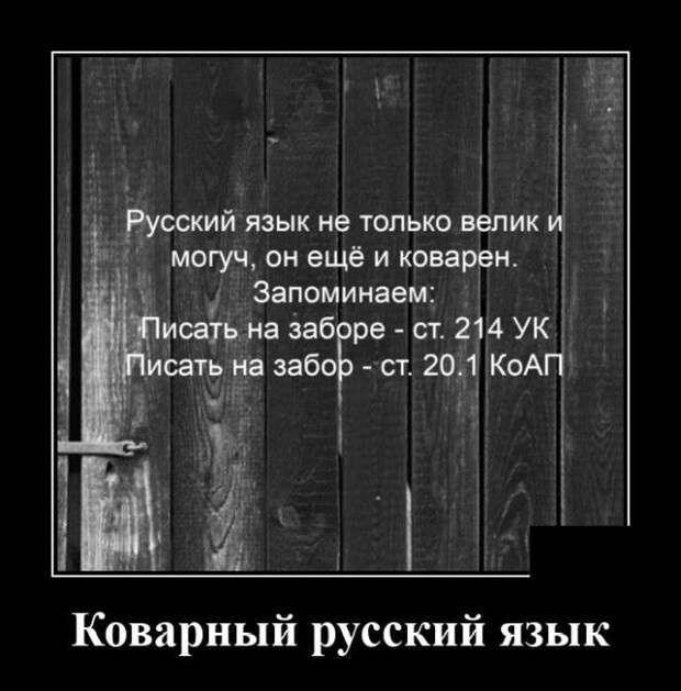 demotivatory-demotivator-smeshnye-demotivatory-demotivator-so-smyslom