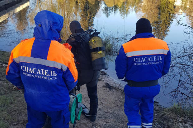 78.ru: скатившаяся в реку в Ленобласти машина с подростками уходила от погони