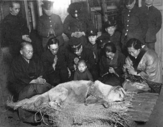 differentpast23 45 фотографий, которые изменят ваше представление о прошлом