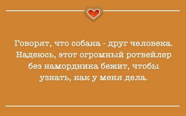 Когда у внутреннего голоса – отличное чувство юмора