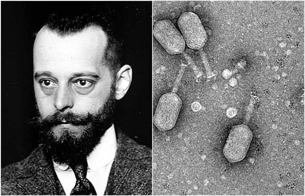 Человек без высшего образования, но очень любивший биологию. /Фото: wikipedia.org Человек без высшего образования, но очень любивший биологию. /Фото: wikipedia.org