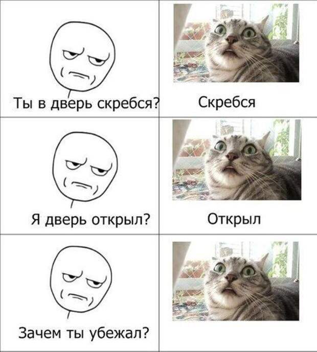 Весёлые картинки, этакие всяческие плюс одна поучительная Весёлые картинки, этакие всяческие плюс одна поучительная