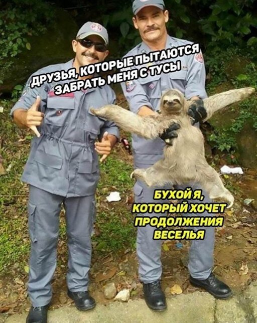 Пятничный алкогольный юмор