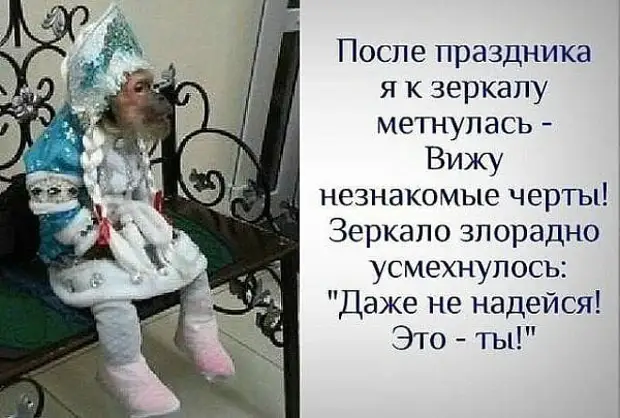 Возможно, это изображение (один или несколько человек и текст «ပာ после праздника я κ зеркалу метнулась- вижу незнакомые черты! зеркало злорадно усмехнулось: "даже не надейся! это ты!"»)