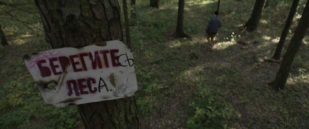 Мора (2025) Мора (2025)