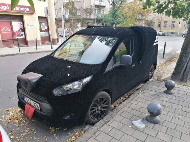 Подборка прикольных картинок