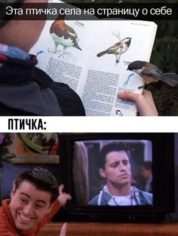 Смешные и познавательные картинки