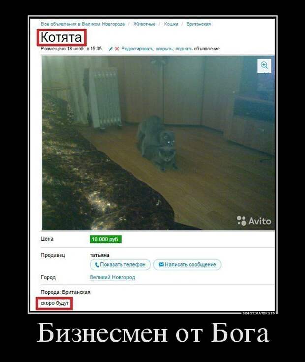 Демотиваторы бревно, демотиваторы, юмор