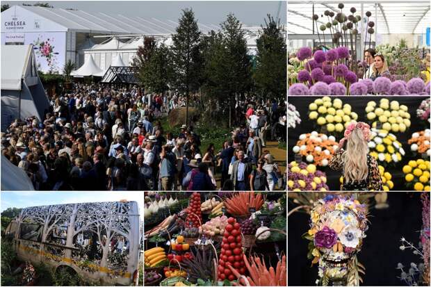 Chelsea Flower Show 2021: самый важный фестиваль садов и цветов в мире