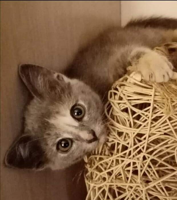 А я боюсь, если на меня кричат. А я боюсь, если на меня кричат.