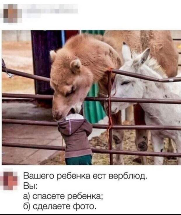 картинки прикольные смешные (15)