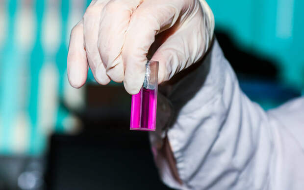 Исследования ученых МГУ помогут разработать эффективный препарат для лечения целиакии
