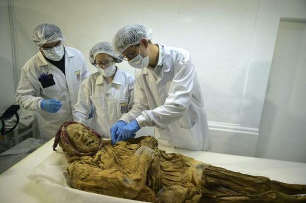 Фотография: 500-летняя мумия монаха может дать ответ, почему мы страдаем от ревматизма №5 - BigPicture.ru