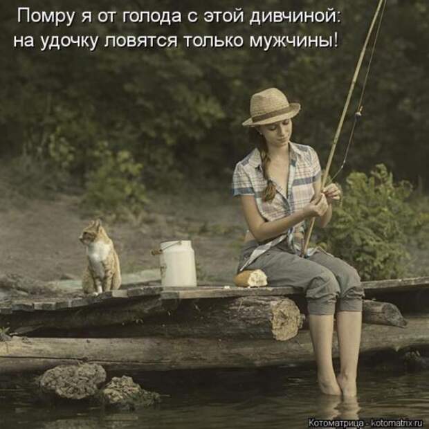 Котоматрицы(картинки с надписями)