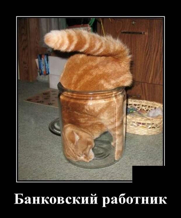 Демотиваторы (20 фото)