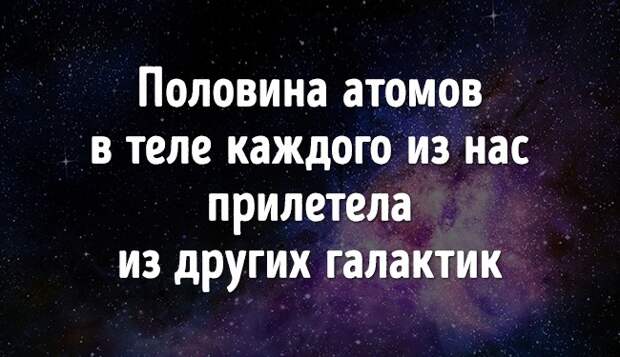 Удивительные факты, которые взорвут мозг