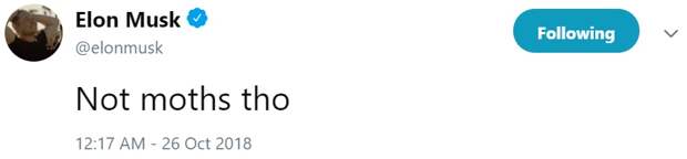 Маск попросил мемы Маск попросил мемы