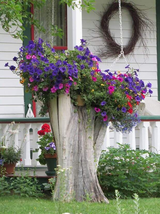 Красивый палисадник перед домом — 50 фото идей для вдохновения