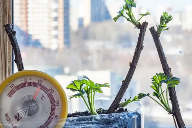 Синоптики рассказали, какой будет погода на Кубани в выходные