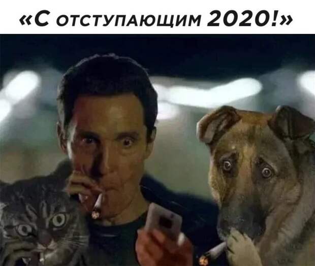 Шутки, мемы и картинки про Новый год