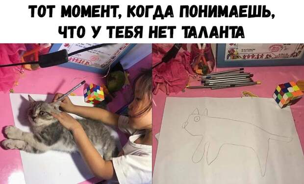 мемы августа 2018
