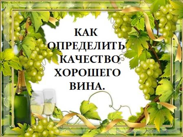 grape-wine_2 (448x336, 76Kb)