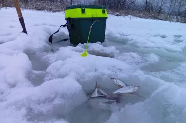 Льдина с рыбаками оторвалась от берега на Сахалине