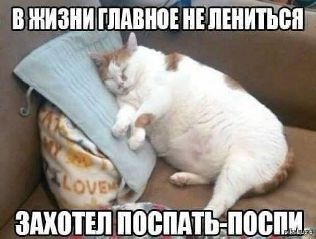 17 свежих шуточек и анекдотов с просторов Сети, чтоб посмеяться от души